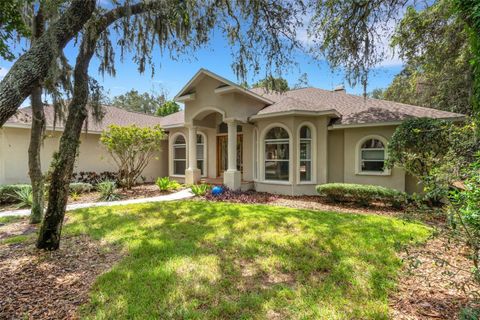 17907 BURNT OAK LANE LITHIA FL 33547