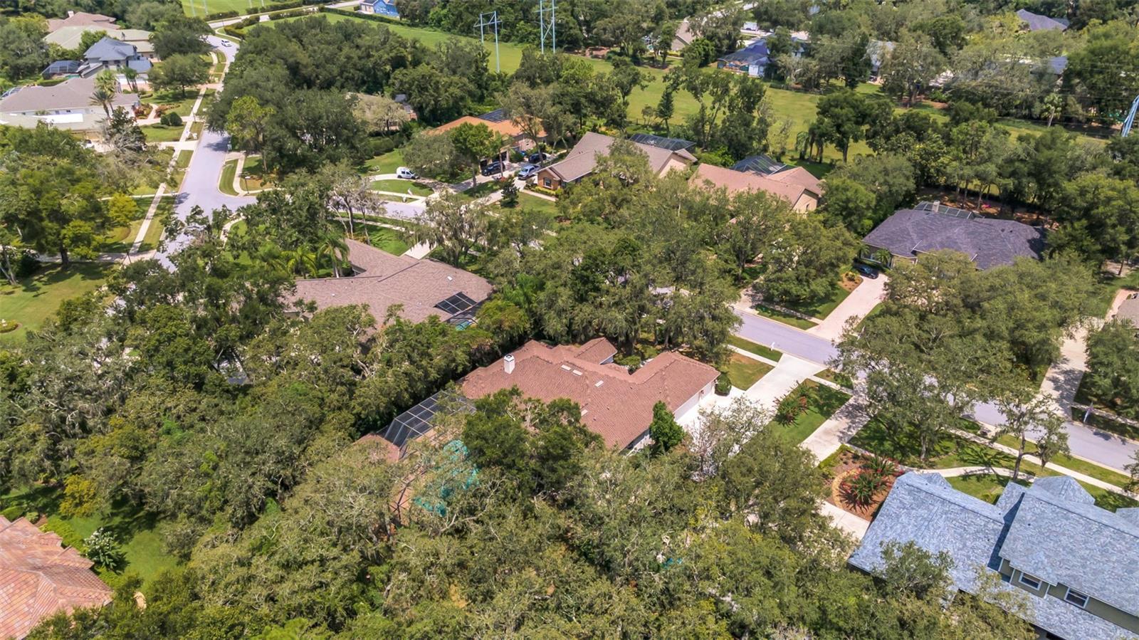 FISH HAWK TRAILS UNIT 6 - Residential