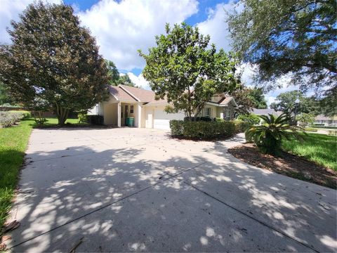 A home in MOUNT DORA