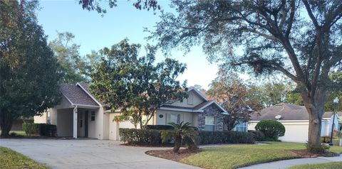 A home in MOUNT DORA