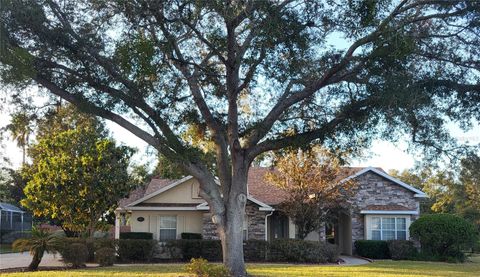 A home in MOUNT DORA