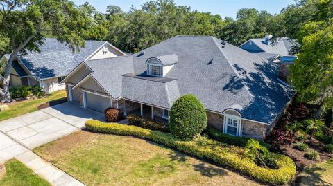 A home in PALM HARBOR