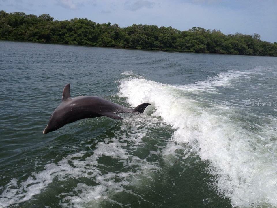 PORT CHARLOTTE SEC 065 - Residential Lease