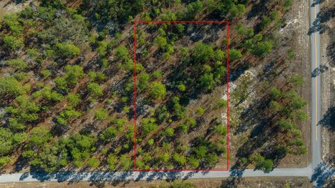 TBD SE 139TH COURT DUNNELLON FL 34431