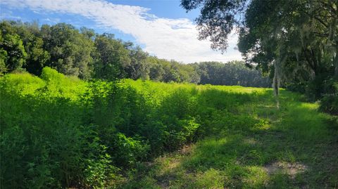 Tiny photo for 1521 NW 27th Avenue, Ocala, FL 34475 (MLS # GC533731)