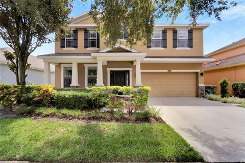 A home in RIVERVIEW