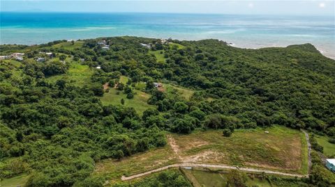 Lots 8, 11, 11A, 11B, 11C CAMINO NUEVO YABUCOA  00767