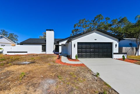 A home in SPRING HILL