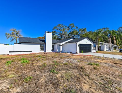 A home in SPRING HILL