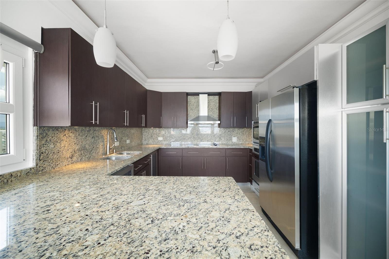 PLAZA ATHENEE - Residential