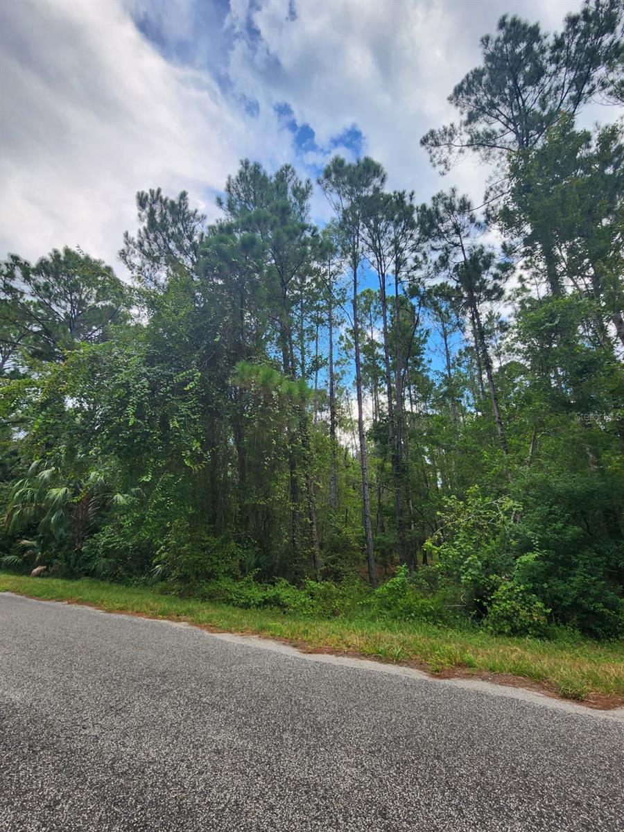 ROYAL TRAILS UNIT 01 - Land