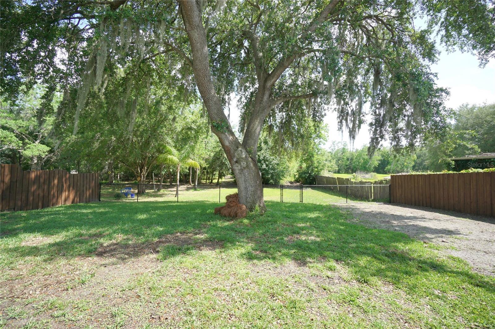 THE WILLOWS UNIT 3 - Residential Lease