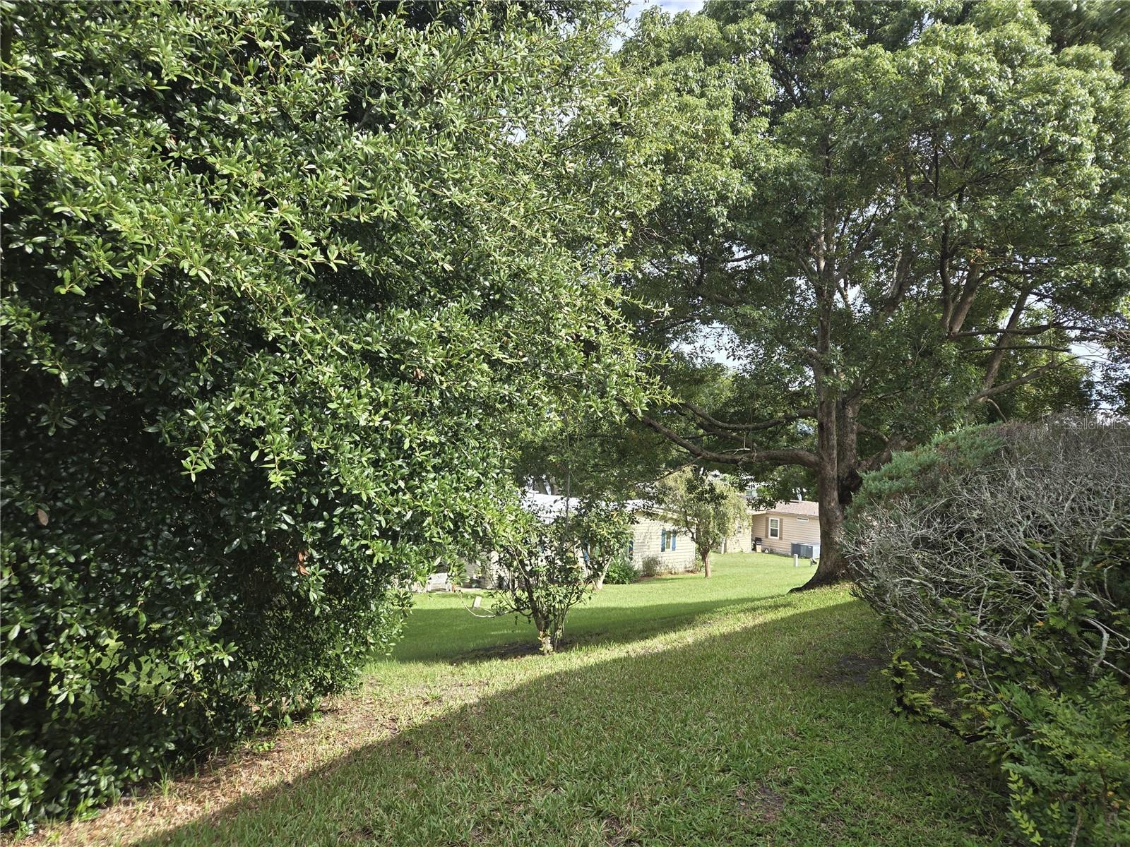 3419 BUTTONBUSH DRIVE 1816
