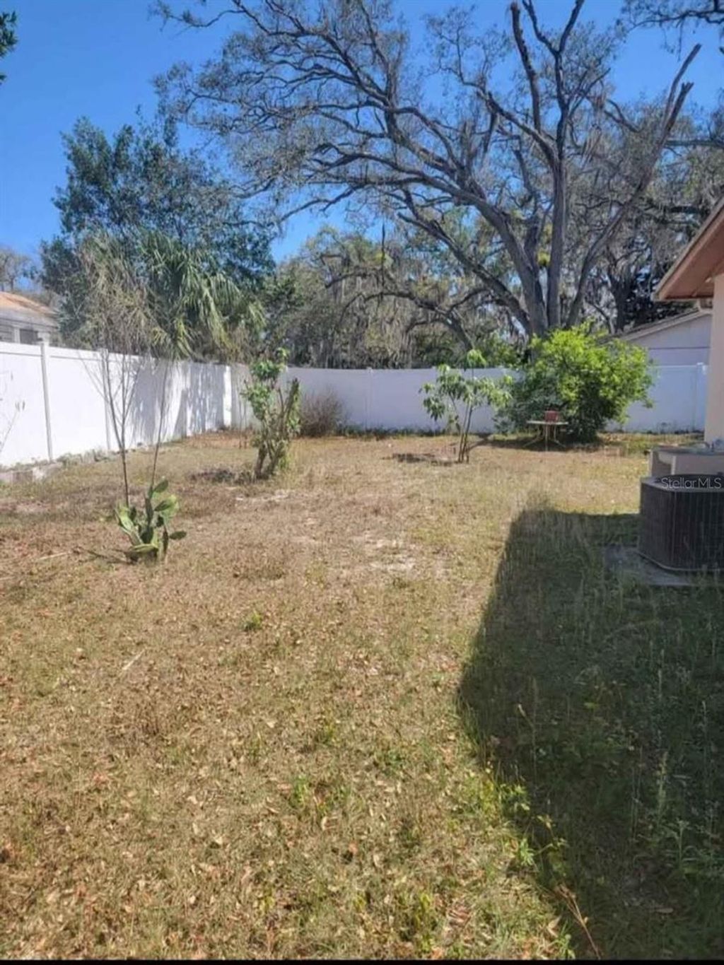 Photo of 4816 E Okara Road, Tampa, FL 33617 (MLS # TB8425647)