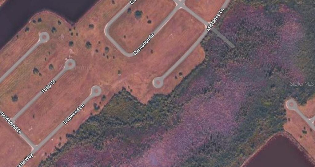 Photo of Placida, FL 33946 (MLS # O6405932)