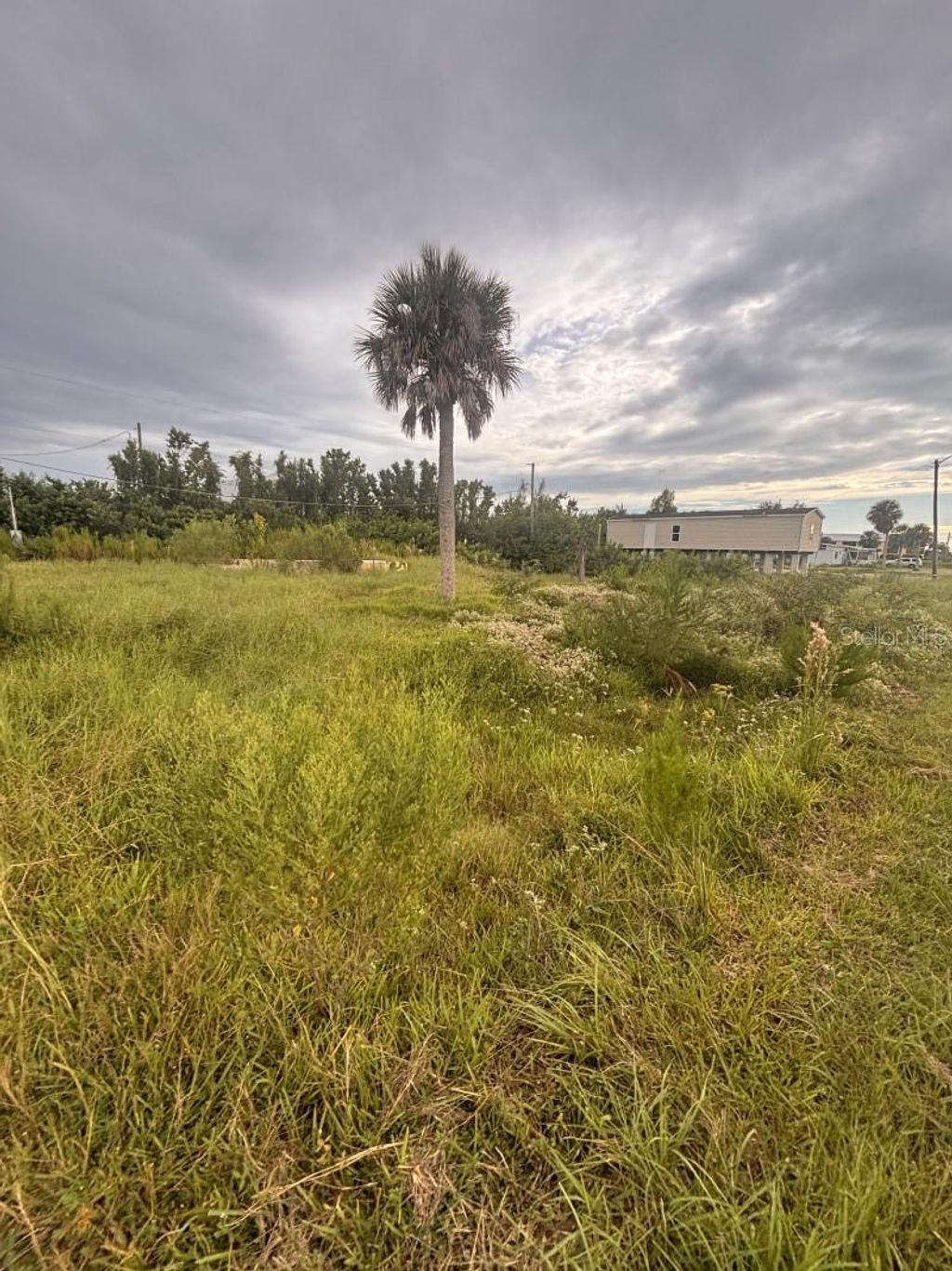 Photo of 14441 Stephens Road, Port Charlotte, FL 33953 (MLS # A4666828)