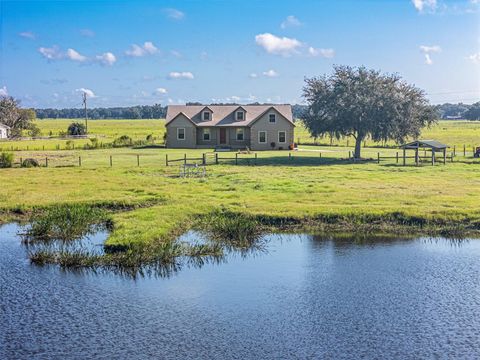 A home in LAKE PANASOFFKEE