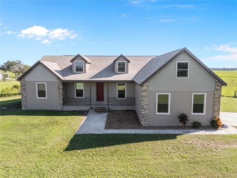 A home in LAKE PANASOFFKEE