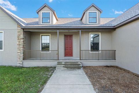 A home in LAKE PANASOFFKEE