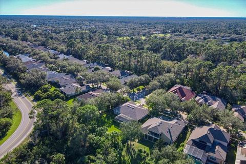 A home in PALM COAST