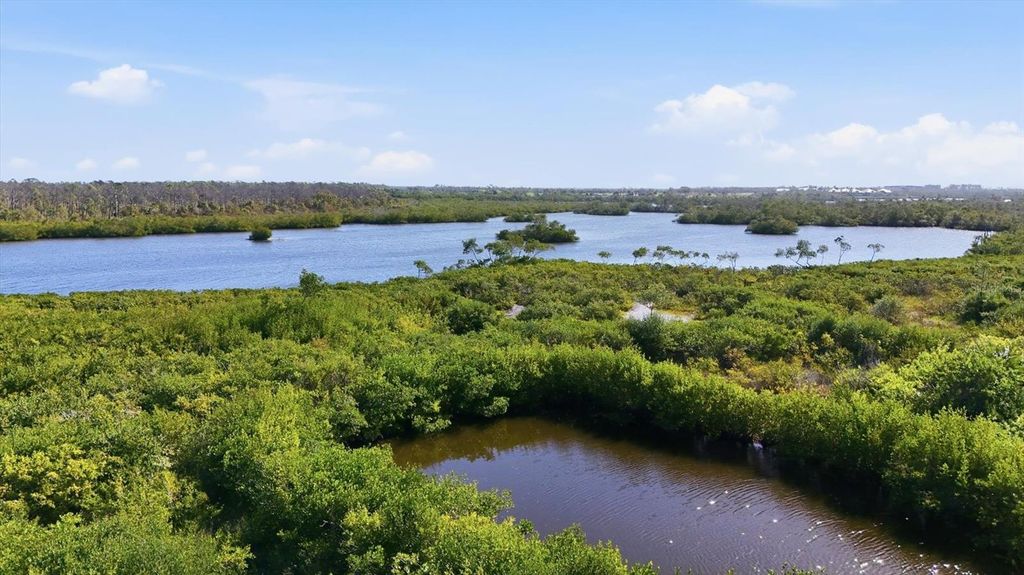 Photo of 10309 Coral Landings Court #100, Placida, FL 33946 (MLS # D6146173)