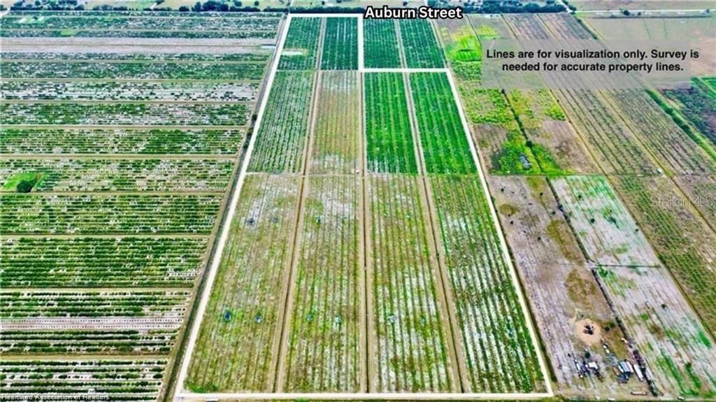 Photo of 3288 Auburn Street, Lorida, FL 33857 (MLS # L4958791)