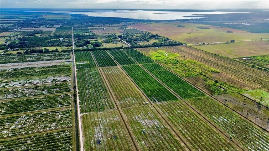 Photo of 3288 Auburn Street, Lorida, FL 33857 (MLS # L4958791)