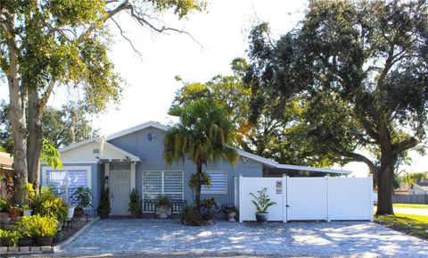 10301 FERNGLEN PLACE TAMPA FL 33624