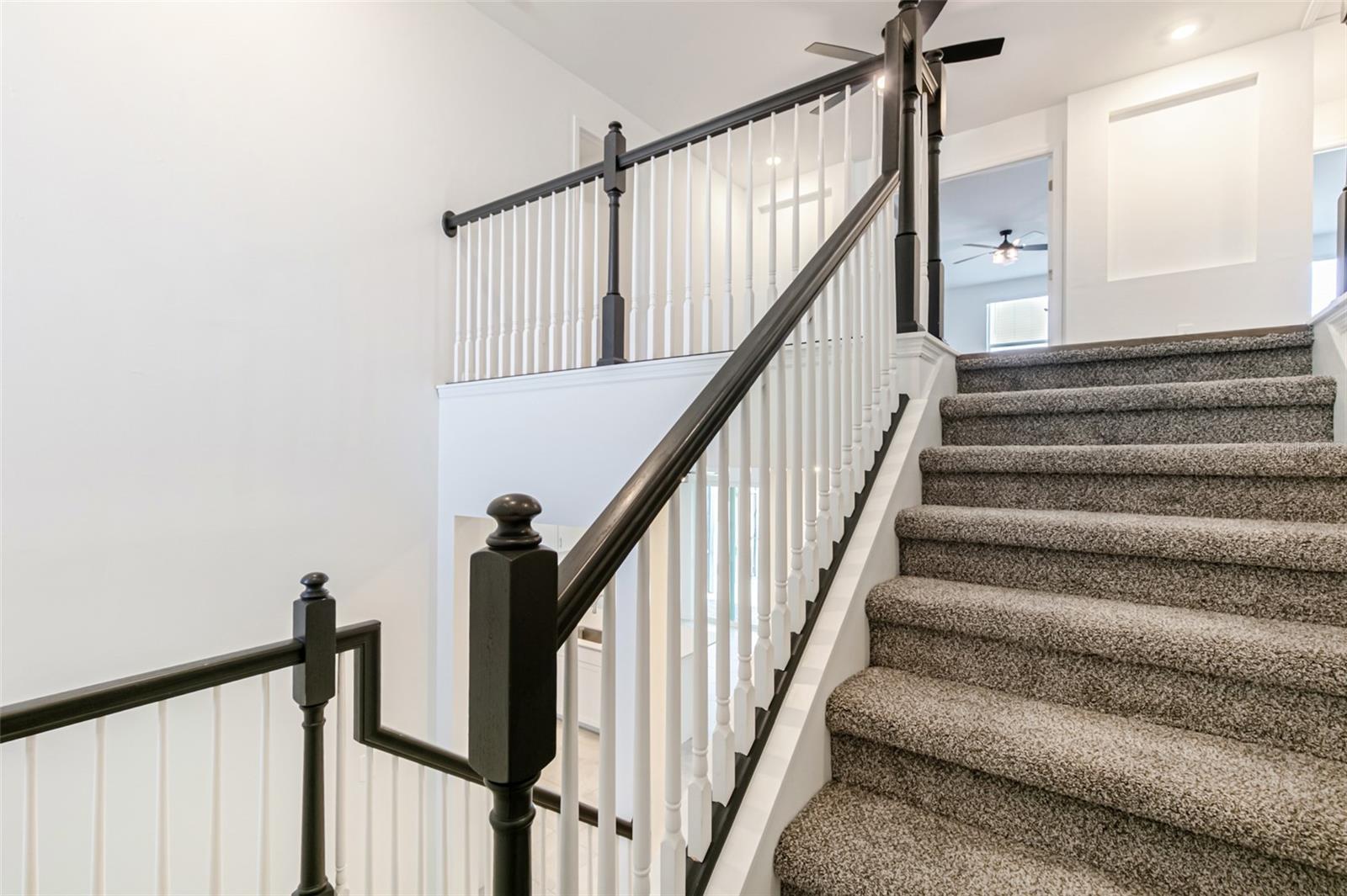 BAYSHORE RANCH - Residential