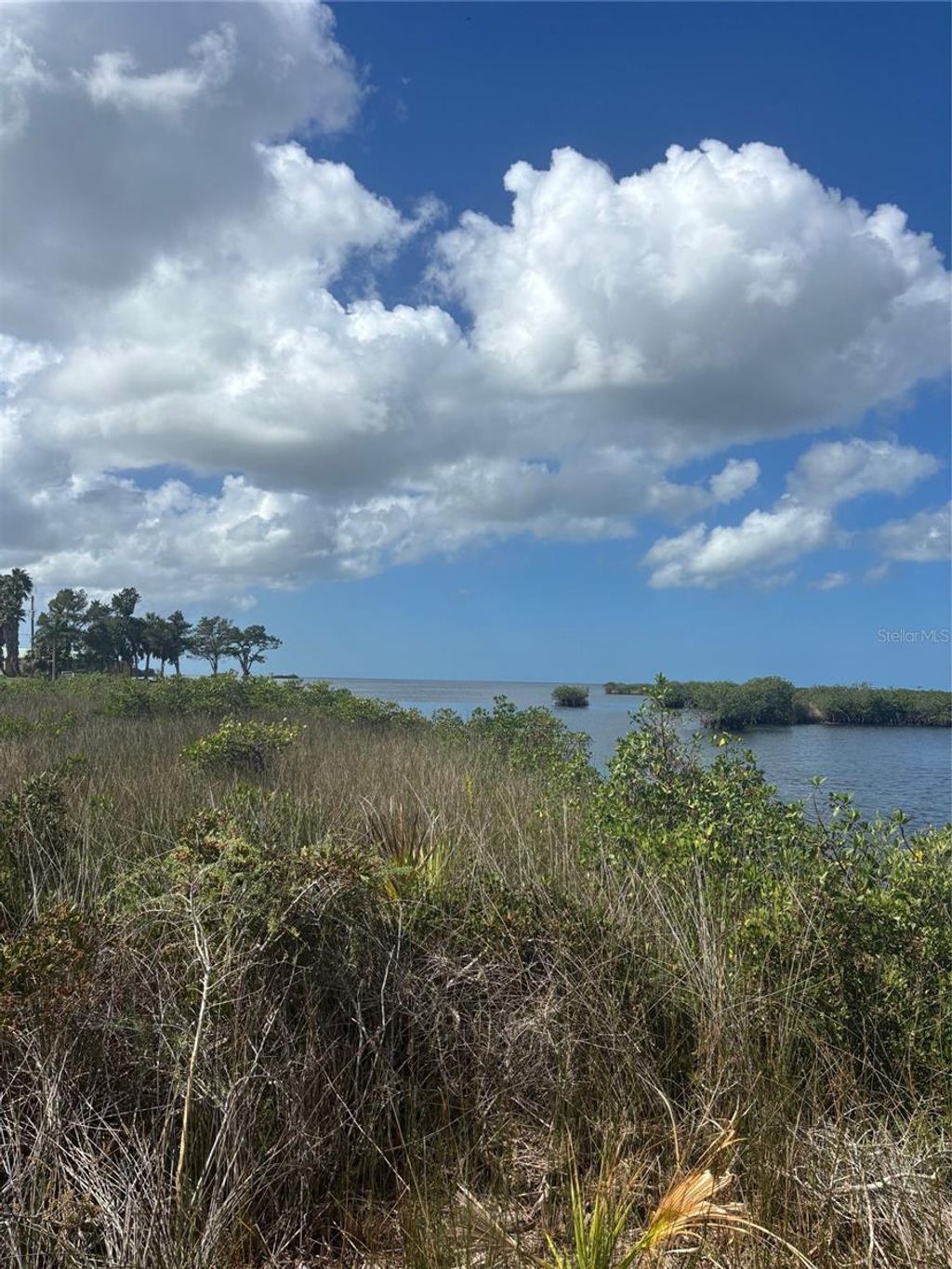 Photo of 3217 Shine Lane, Spring Hill, FL 34607 (MLS # W7879735)
