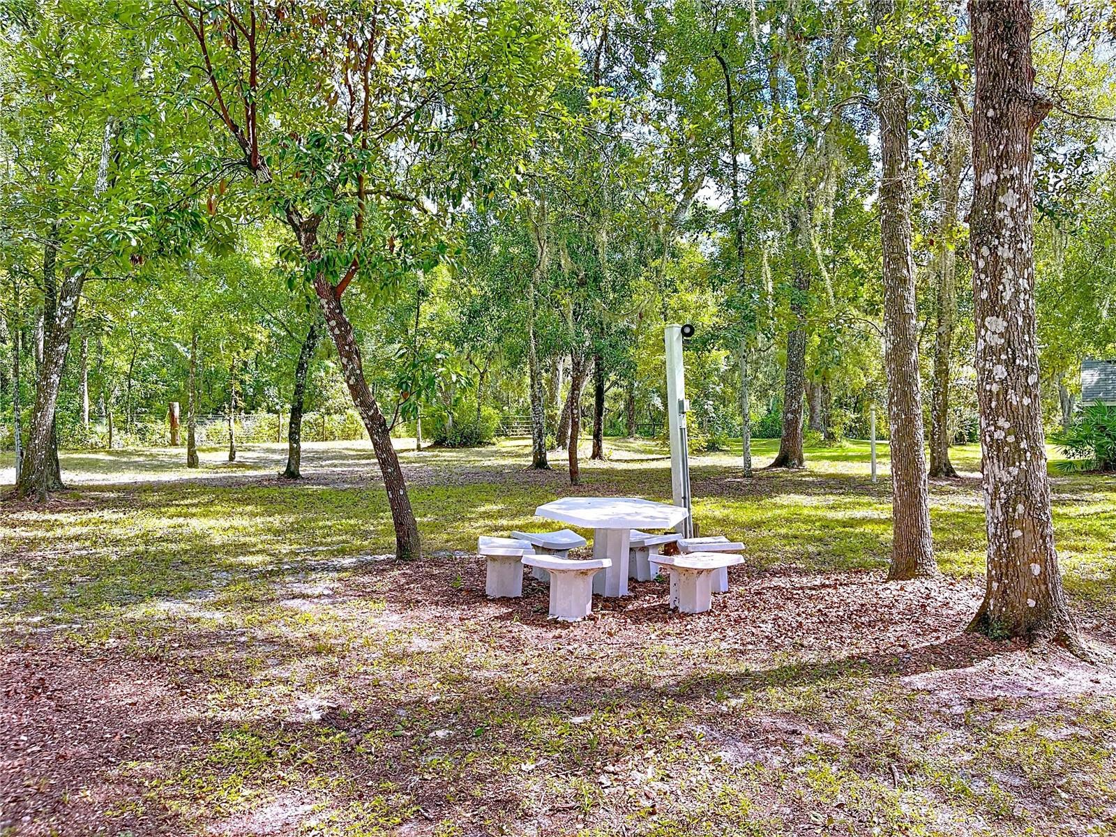 RIDGE MANOR ESTATE - Residential