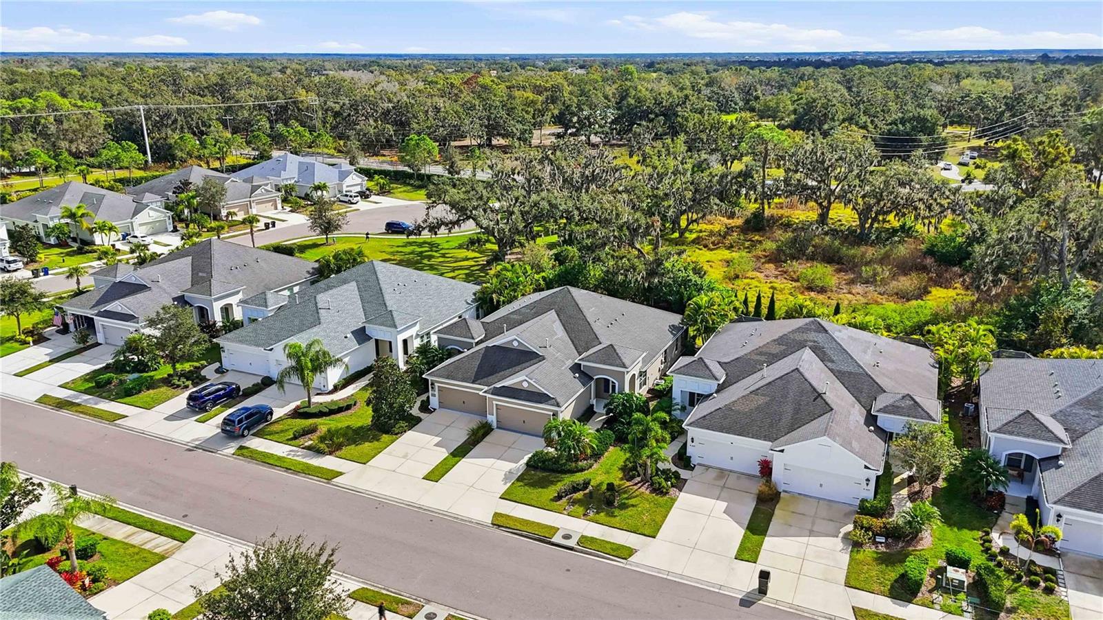 SILVERLEAF PH I-A - Residential