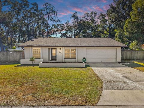 1909 DOVE FIELD PLACE BRANDON FL 33510