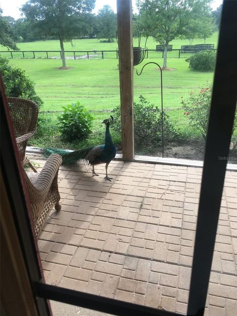 Tiny photo for 9549 NW 80th Avenue, Ocala, FL 34482 (MLS # OM717931)