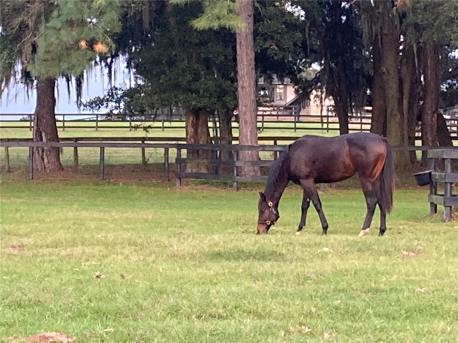 ACREAGE NON-SUBDIVISION - Residential