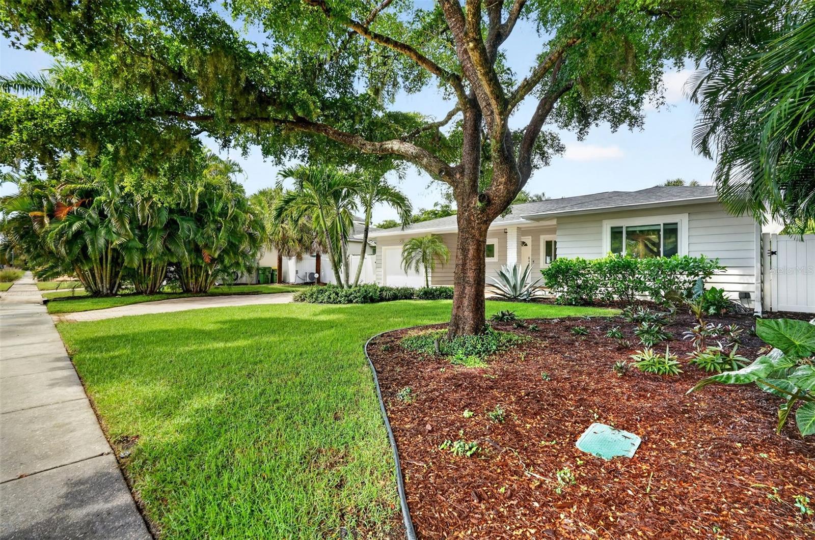 1965 HIBISCUS STREET