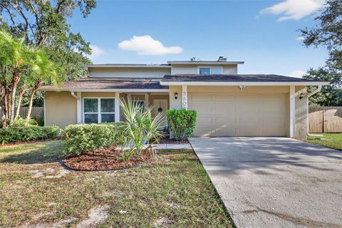 3803 CLOVERHILL COURT BRANDON FL 33511