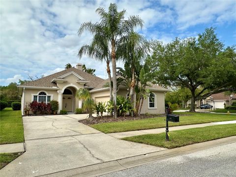 3025 NAUGHTON WAY TARPON SPRINGS FL 34688