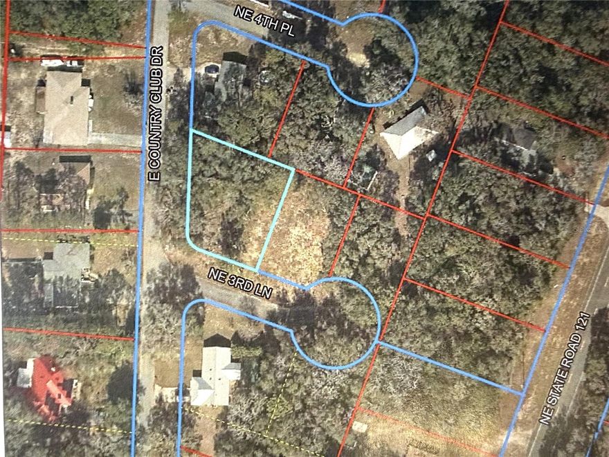 NO HOA!! .27-acre lot by the former Williston Golf Course. This is a corner lot on a paved road. Use your own builder. Only 30 minutes to Gainesville or Ocala.