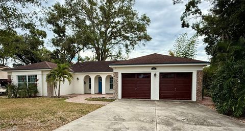 914 W CIMMERON DRIVE TAMPA FL 33603