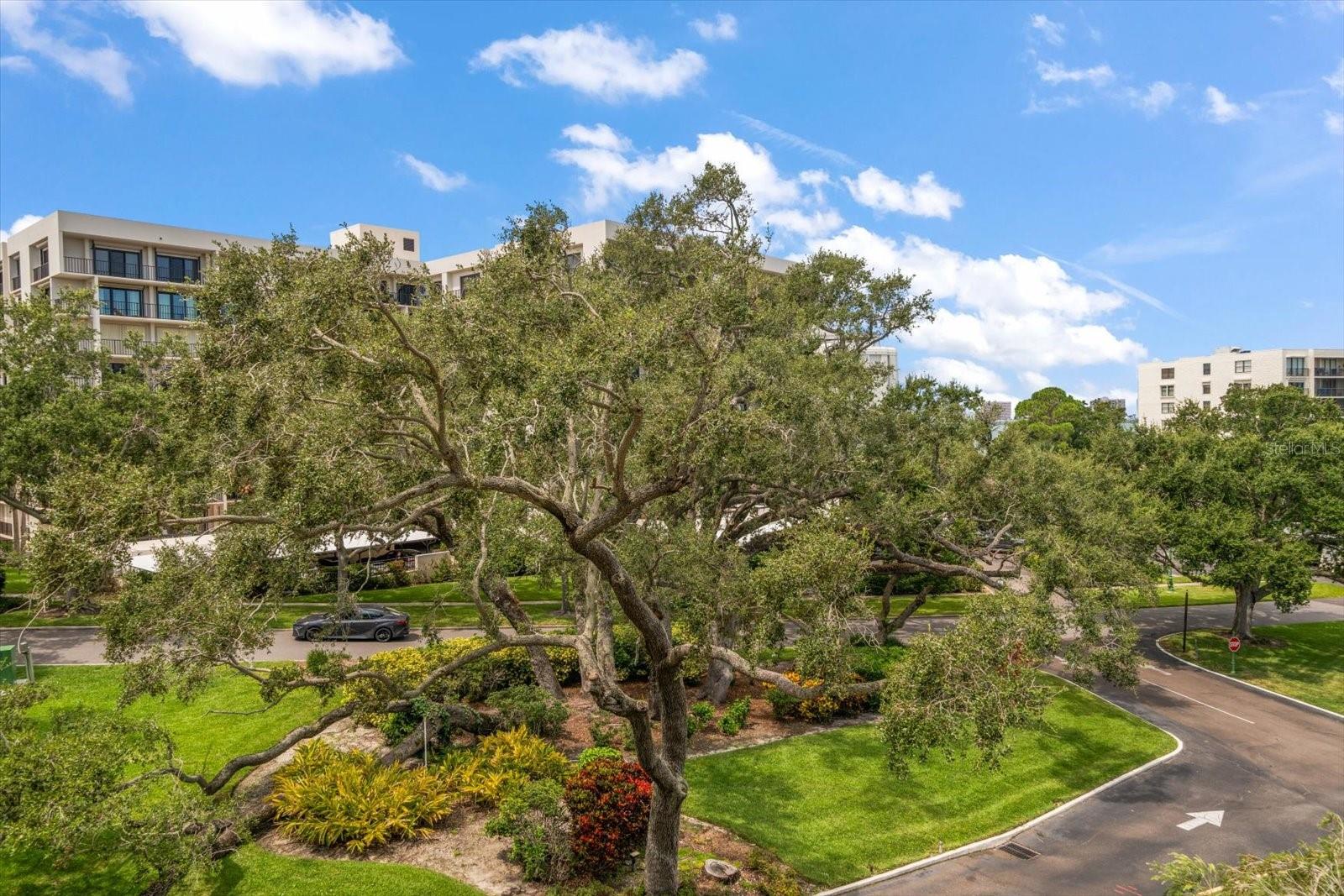 BELLEVIEW BILTMORE VILLAS BAYSHORE II - Residential