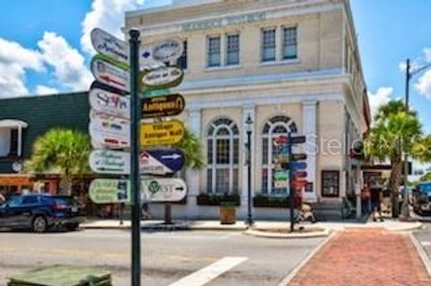 A home in MOUNT DORA