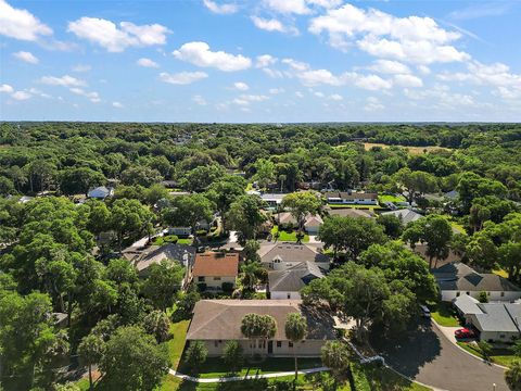 A home in MOUNT DORA