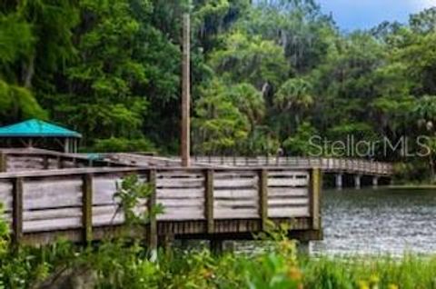 A home in MOUNT DORA