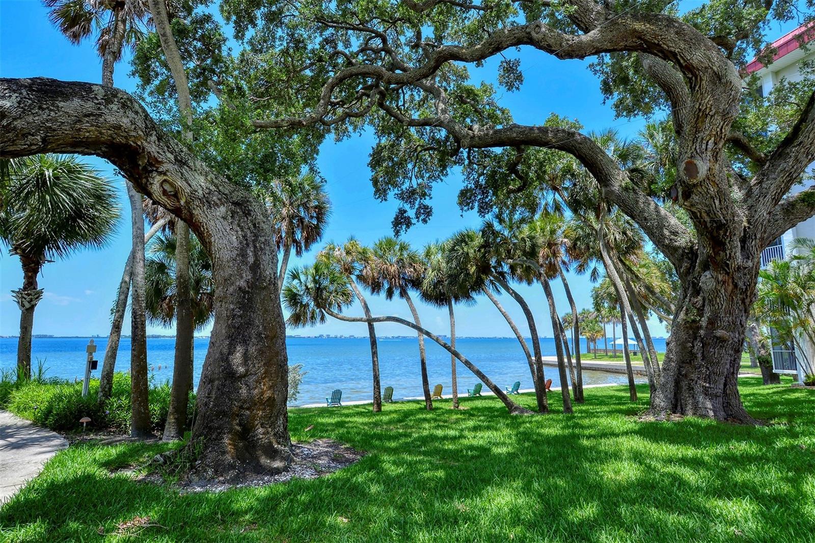 Enjoy views of Sarasota Bay from every windows in this ideally situated condo through the graceful branches of a mature live oak tree. Located in the desirable Bay’s Bluff community, this well-maintained home’s split floor plan offers a spacious living and dining area, open to the adjacent kitchen. Hurricane-impact windows provide peace of mind and the large primary suite features an ensuite bath, plantation shutters and a walk-in closet. Sit out on your private screened lanai and watch the seabirds, sailboats, and breathtaking sunsets. Or relax at the water’s edge in an Adirondack chair on the community’s 267-foot private seawall, where the soothing sounds of the bay will calm your mind and spirit.
Bay’s Bluff is a charming, pet-friendly mid-rise community. The bayfront heated pool and grill area are ideal for hosting a sunset cocktail party or cookout.
This community shares an entrance with Whitaker Gateway Park—with its fishing pier, walking paths, and picnic areas. And you’ll find Publix just across the street for ultimate convenience.
Just two blocks from The Bay Park, Sarasota’s 53-acre cultural and waterfront destination, and only one mile from downtown Main Street, you’ll have easy access to world-class dining, theaters, museums, shopping, Sarasota-Bradenton Airport, and award-winning beaches.
This is the best direct waterfront value in all of Downtown Sarasota—an unbeatable lifestyle and location.