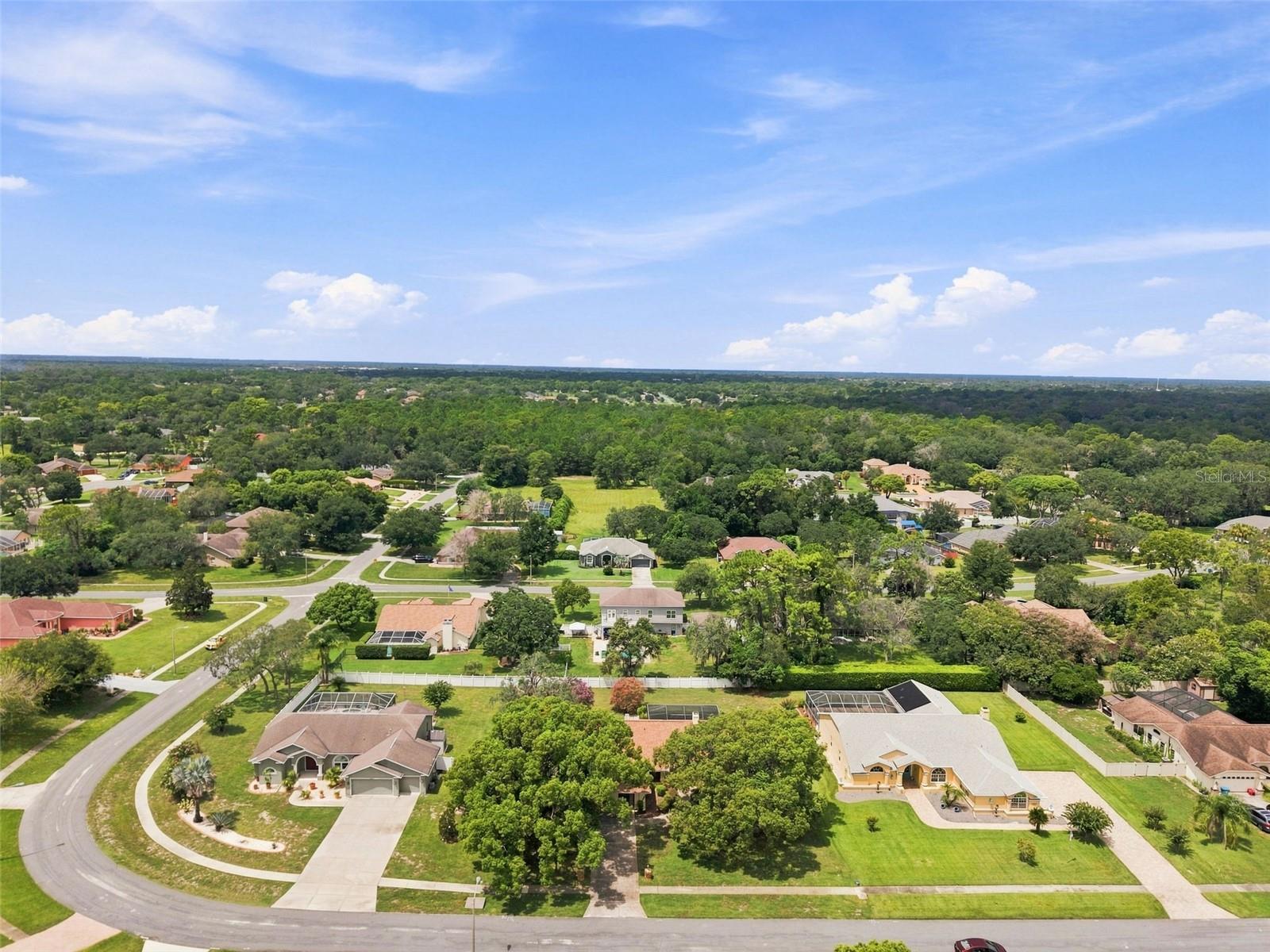 13063 HUNTINGTON WOODS AVENUE