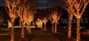 LAKE APOPKA SOUND PH 2 - Residential