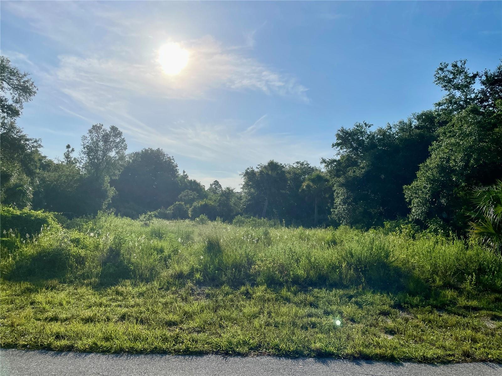 Great area! Close to shopping, restaurants, entertainment, schools, with easy access to main road that take you to neighboring towns. A short ride to many beaches, bike paths. Near Charlotte Harbor, Peace and Myakka Rivers where you can enjoy fishing, boating, walking and bike paths along the waters edge, and much more! This property is not in a flood zone! Check out this great property! There are expired conditions re: permits. The seller is working on having them cancelled. There may be a slab on the property.