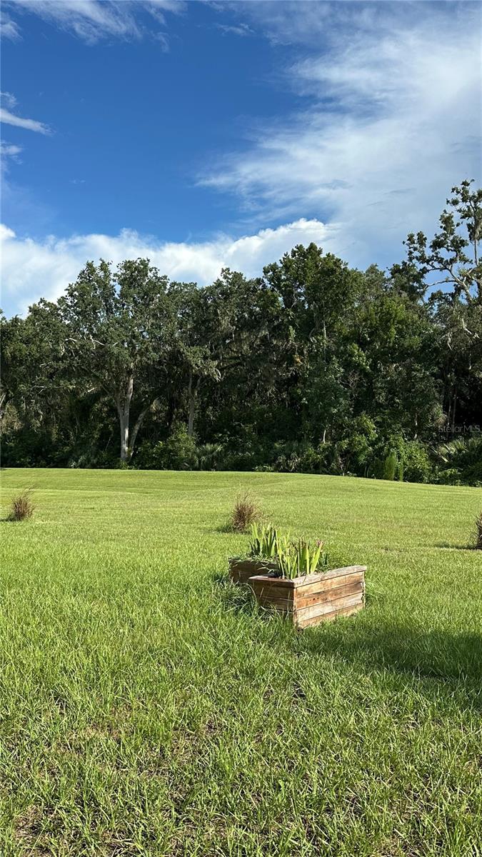 LAKE DENHAM ESTATES - Residential Lease