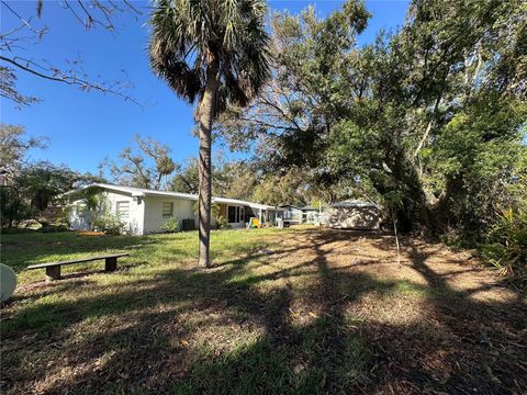 A home in PUNTA GORDA